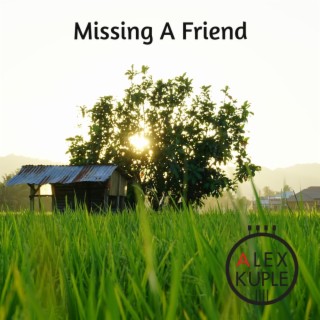 Missing A Friend