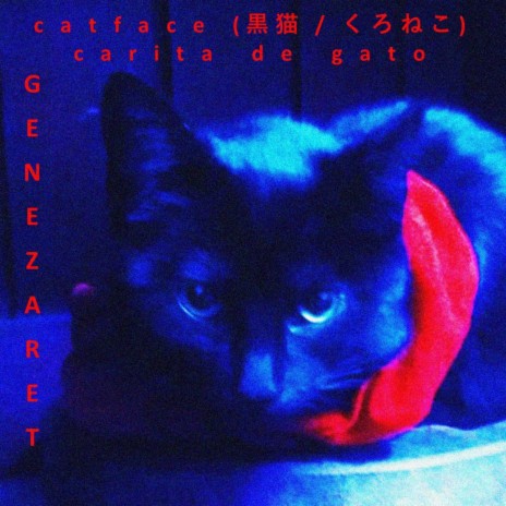 Catface (Carita de Gato) | Boomplay Music