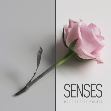 Senses | Boomplay Music