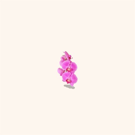 Orchid | Boomplay Music