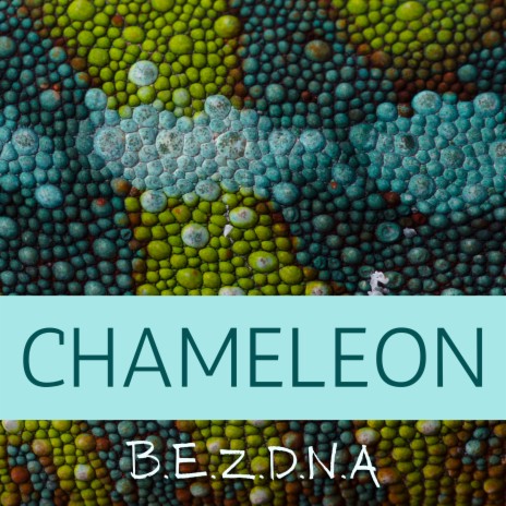 Chameleon | Boomplay Music