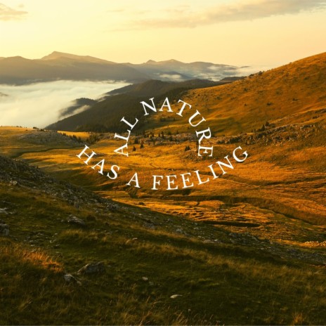 All nature has a feeling | Boomplay Music