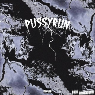 PUSSYRUN