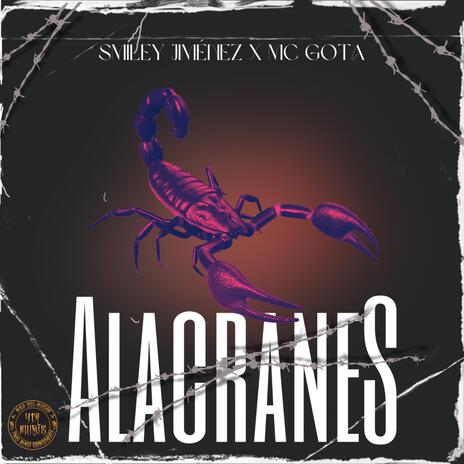 Alacranes ft. MC GOTA 417 | Boomplay Music