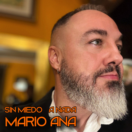 Sin miedo a nada | Boomplay Music