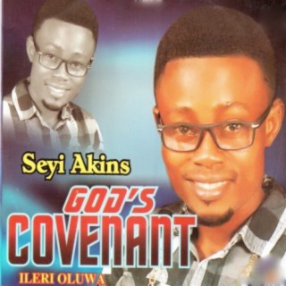 Seyi Akins