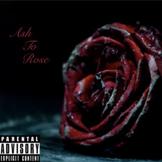 Ash To Rose