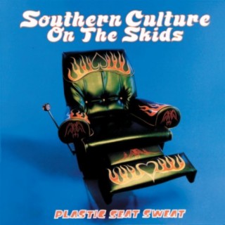 Southern Culture On The Skids