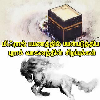 மிஃராஜ் பயணத்தில் பயன்படுத்திய புராக் வாகனத்தின் சிறப்புக்கள்