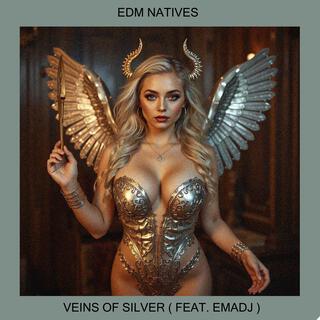 Veins Of Silver ft. Emadj lyrics | Boomplay Music