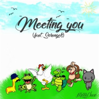 Meeting You