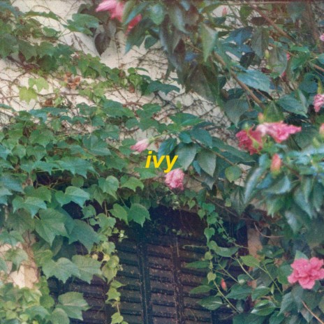 ivy - slowed + reverb | Boomplay Music