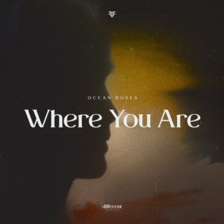 Where You Are