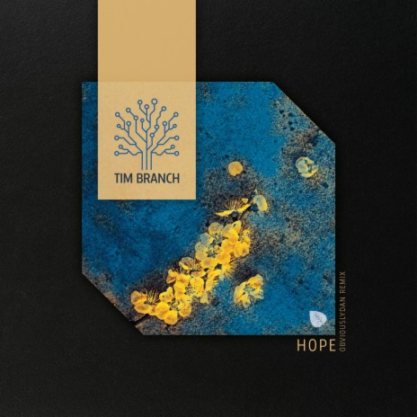 Hope (obviouslydan remix) | Boomplay Music