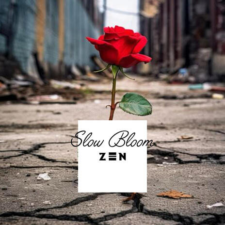 Slow Bloom | Boomplay Music