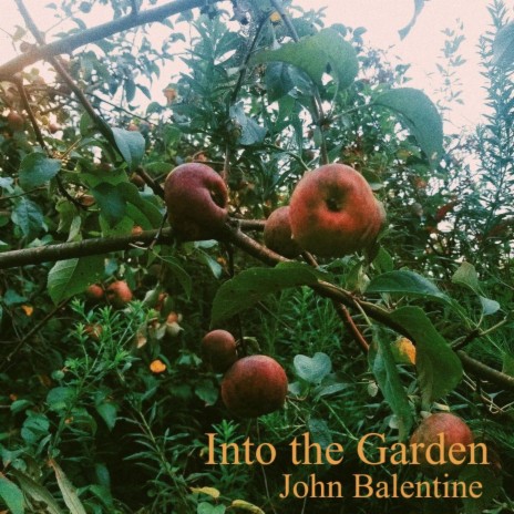 Into the Garden | Boomplay Music