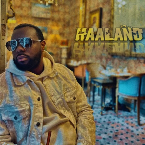 Haaland | Boomplay Music