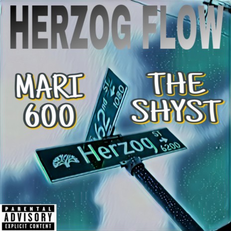 HERZOG FLOW ft. Mari600