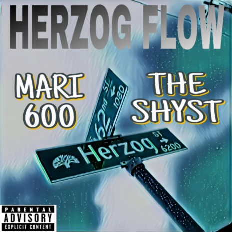 HERZOG FLOW ft. Mari600 | Boomplay Music