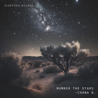 Number The Stars