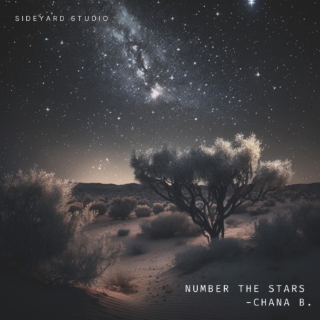 Number The Stars | Boomplay Music