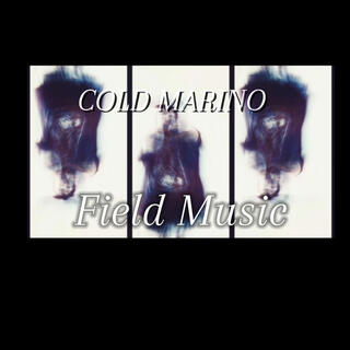 Field Music