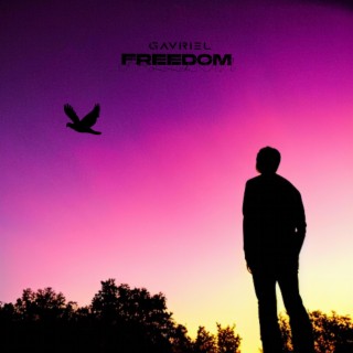 Freedom lyrics | Boomplay Music