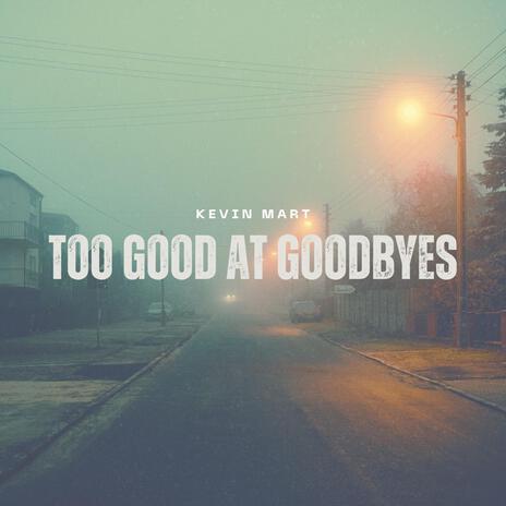 Too Good At Goodbyes | Boomplay Music