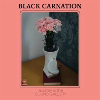 Black Carnation (demos)