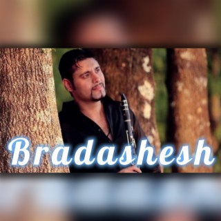 Bradashesh