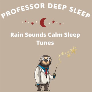Rain Sounds Calm Sleep Tunes