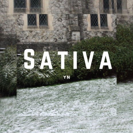 Sativa | Boomplay Music