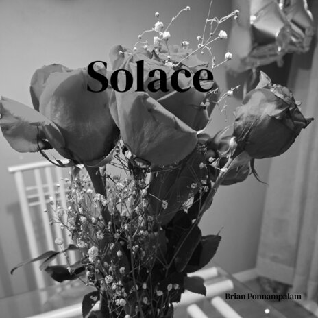 Solace | Boomplay Music