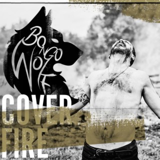 Cover Fire lyrics | Boomplay Music