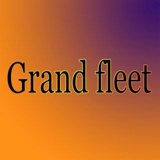 Grand fleet