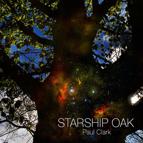 Starship Oak, Pt. 2 | Boomplay Music