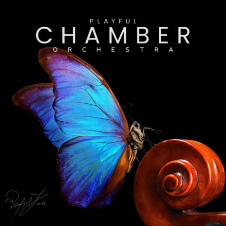 Playful Curious Chamber Orchestra | Boomplay Music