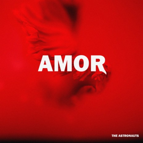 Amor | Boomplay Music