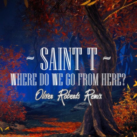 Where Do We Go From Here (feat. Saint T) [Remix] | Boomplay Music