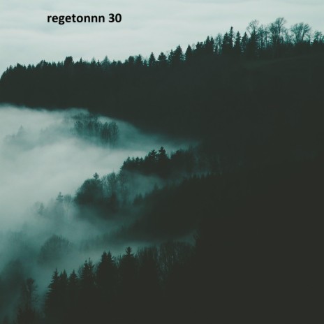 Regeton 30
