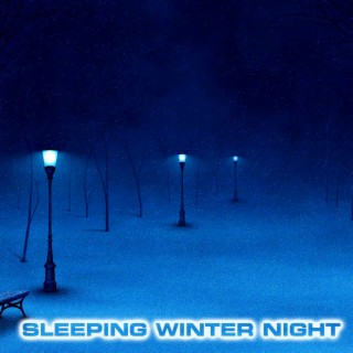 Sleeping Winter Night (feat. White Noise Sounds For Sleep, White Noise Ambience, National Geographic Soundscapes, Soothing Baby Sounds & North Blizzard White Noise)