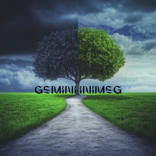 Gemini inimeG