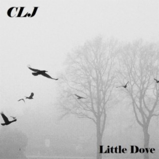 Little Dove