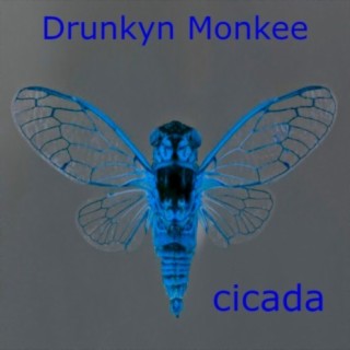 Cicada