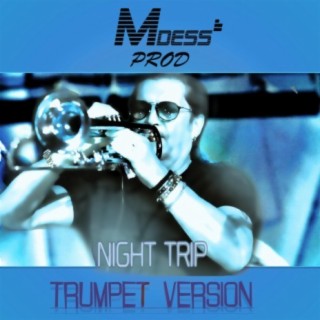 Night Trip (feat. Eric Mula)