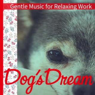 Gentle Music for Relaxing Work