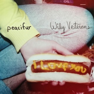 Wily Veterans ft. A Newer Lion lyrics | Boomplay Music