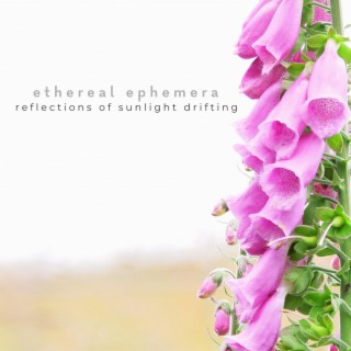 Reflections of Sunlight Drifting (Ethereal Ephemera)