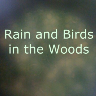 Rain and Birds in the Woods