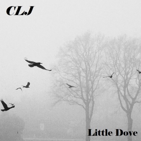 Little Dove (feat. Emile Bears) (Instrumental)